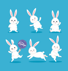 Set Happy Rabbit Celebration With Sticker Notice