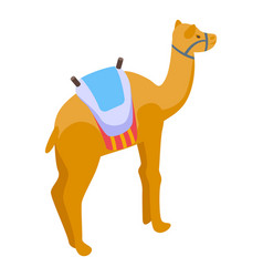 Camel Desert Icon Isometric Arabian Tent