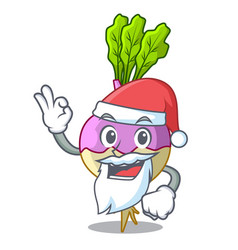 Santa Raw Rutabaga Root Isolated On Mascot