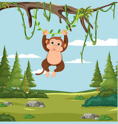 Cute Monkey Hanging From A Vine In Green Forest