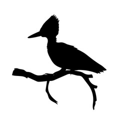 Hoopoe Bird Silhouette