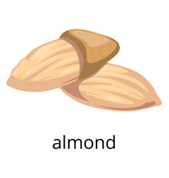 Almond Nut Icon Healthy Diet Fat Food