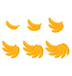 A Collection Of Banana