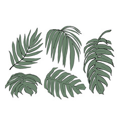 Set Of Tropical Leaves Drawing Graphic Hand-drawn