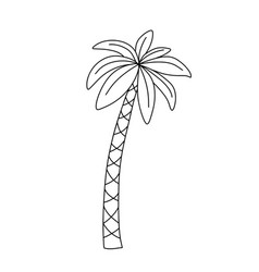 Line Sketch Of Palm Tree Cute Doodle