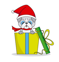 Dog With Santa Hat Inside A Gift Package