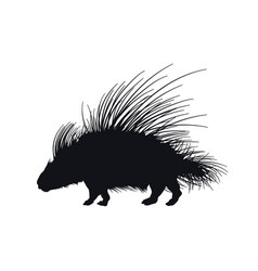 Black Silhouette African Porcupine