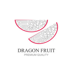 Dragon Fruit Icon Modern Design