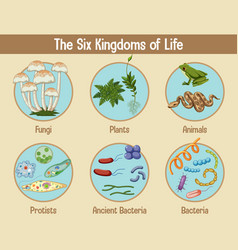 Science Poster Six Kingdoms Life