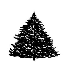 Hand Sketch Christmas Tree Drawn Christmas Tree