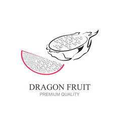 Dragon Fruit Icon Modern Design