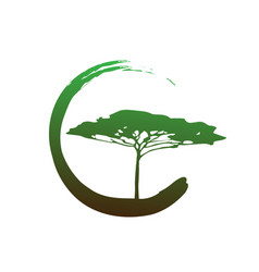 African Tropical Tree Logo Icon Acacia Tree Bio