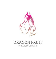 Dragon Fruit Icon Modern Design