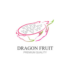 Dragon Fruit Icon Modern Design