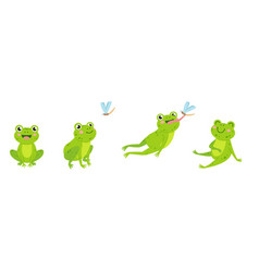 Funny Frog Animal Jump To Eat Fly Insect Green