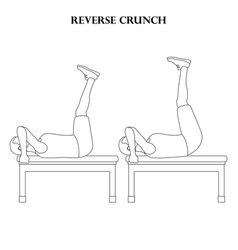 Reverse Crunch Exercise Strength Workout