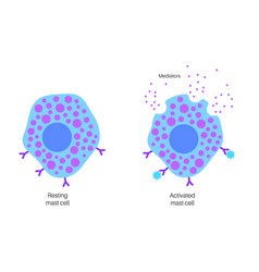 Mast Cell Poster