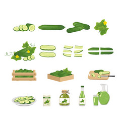 Cucumber Icon And Product From