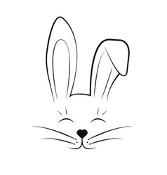 Cute Rabbit Face