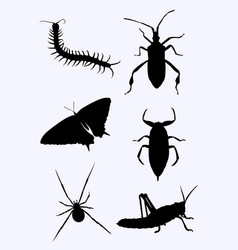 Stink bugs silhouette Royalty Free Vector Image
