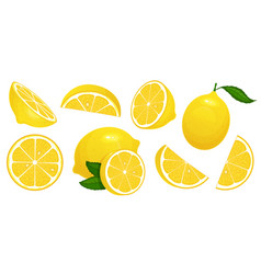 Lemon Slices Fresh Citrus Half Sliced Lemons And