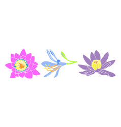 Set Of Water Lily Flowers On A White Background