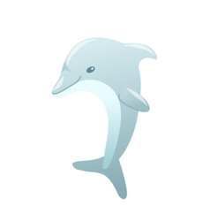 A Dolphin On White Background