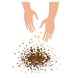 Hands Throw Seeds Into The Ground