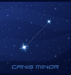 Constellation Canis Minor Lesser Dog Night Star