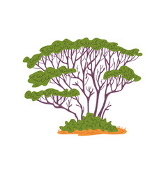 African Tree With High Crown Flat Style