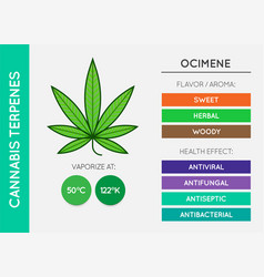 Cannabis Terpene Information Chart Aroma