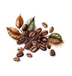 Watercolor Hand Drawn Coffee Beans Isolated