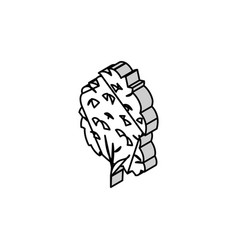 Kauri Tree Jungle Amazon Isometric Icon