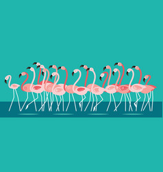 Pink Beautiful Flamingo Flock Birds