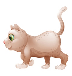 A Side View Of Gray Cat