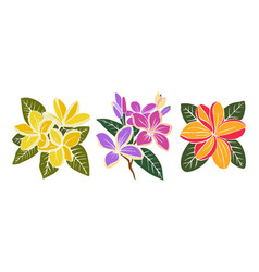 Set Of Colorful Decorative Plumeria Flowers Art