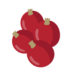 Hawthorn Berries Icon