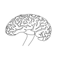 Human Brain One Line Drawing