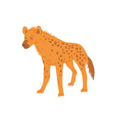 African Hyena Animal Standing Flat Cartoon