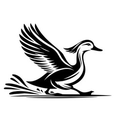 Graceful Indian Runner Duck In Monochrome