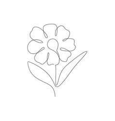 Minimal Drawn Floral Botanical Line Art