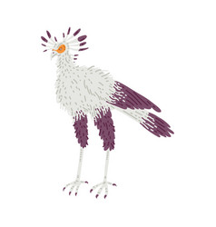 African Secretary Bird With Dark Feathers On Head