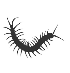 Centipede