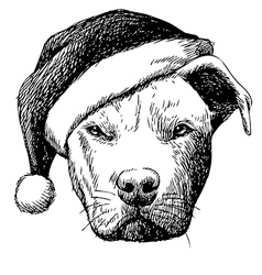 Pitbull With Christmas Hat