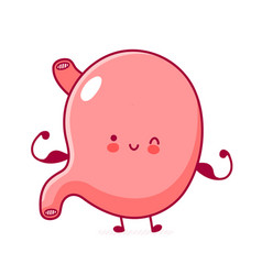 Cute Happy Funny Stomach Organ Show Muscle