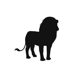 Lion Black Shape Silhouette