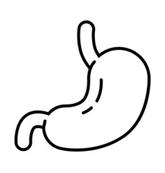 Stomach Icon Design Line Art