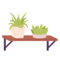 Wooden Shelf With Houseplants Home Wall Green