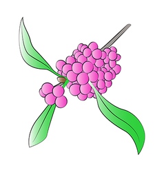 Beautyberry