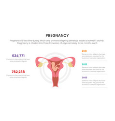 Pregnancy Infographic Concept For Slide